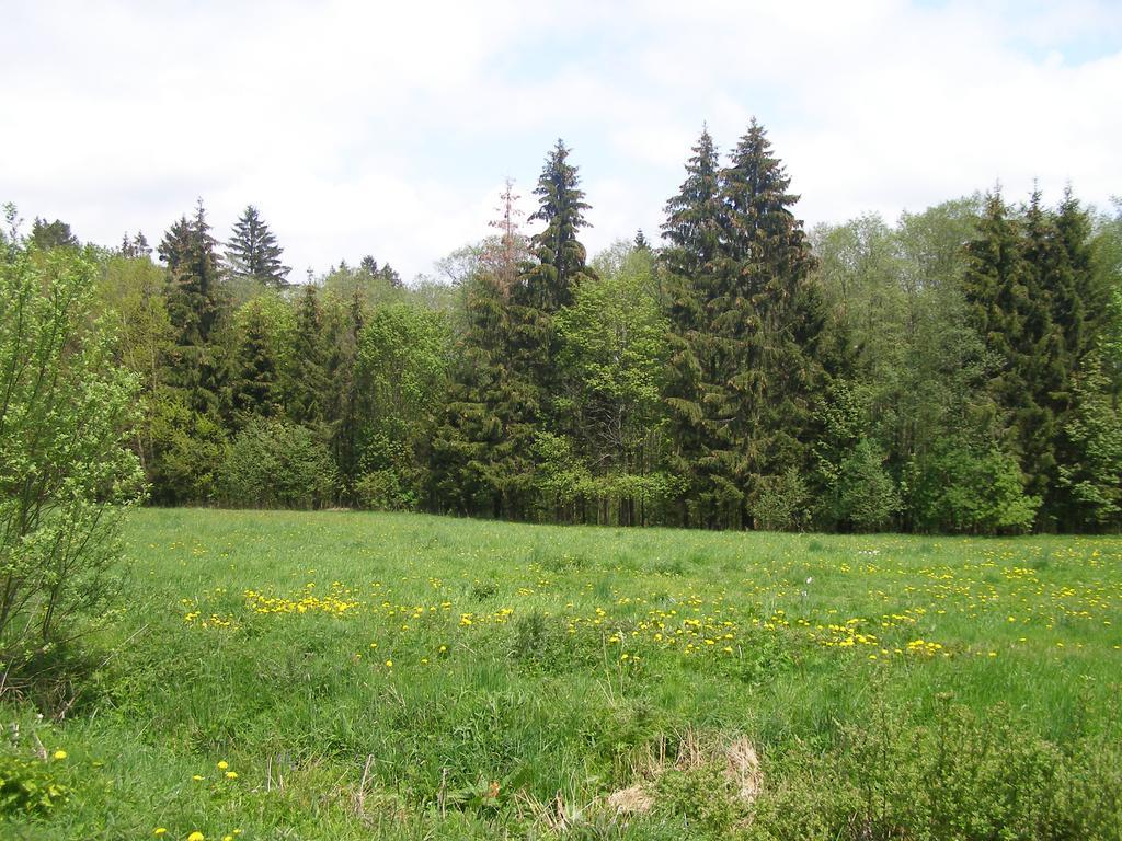 德沃勒科纳公寓 Loučovice 外观 照片