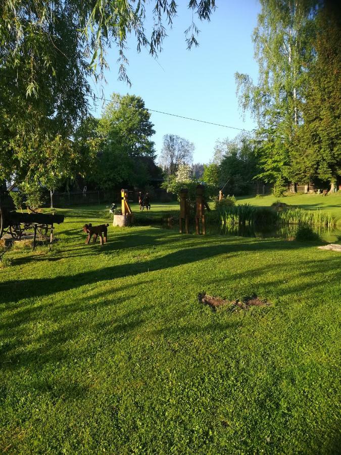 德沃勒科纳公寓 Loučovice 外观 照片